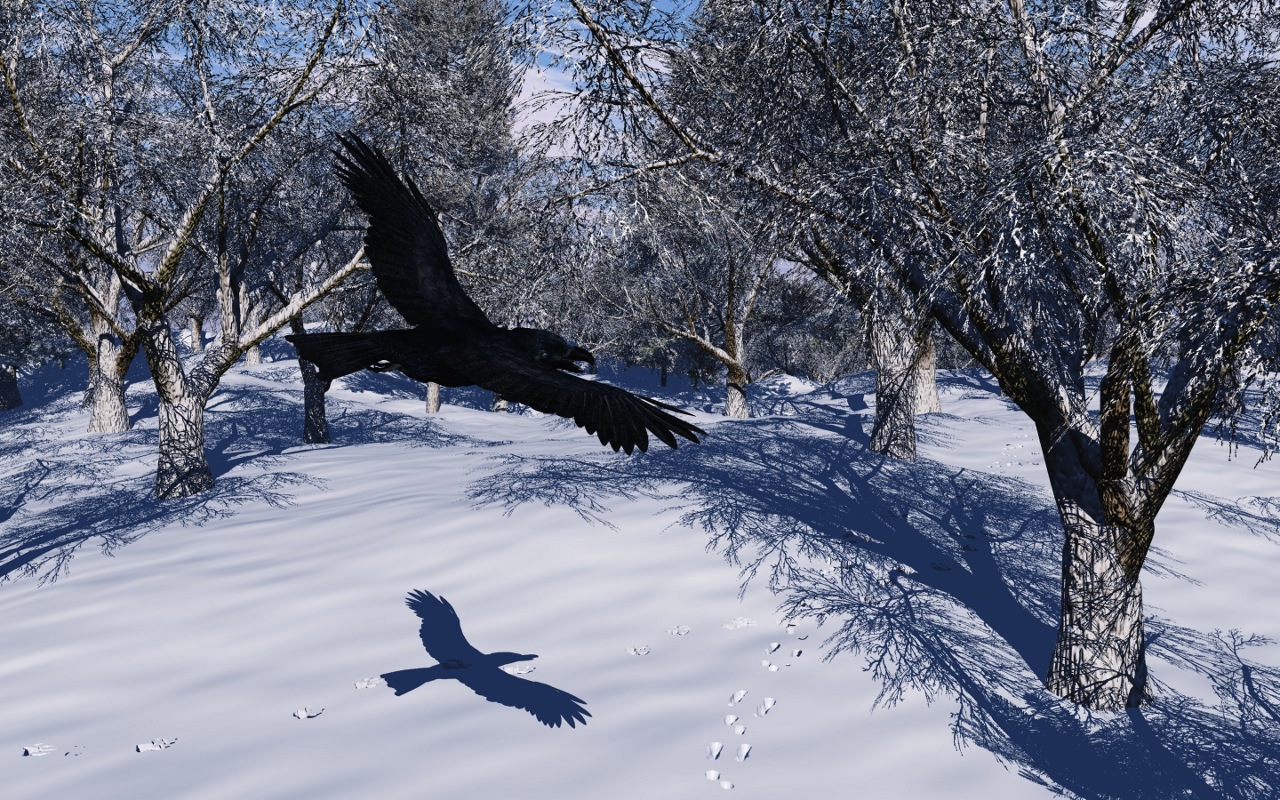 Raven Tracking Winter Forest Landscape
